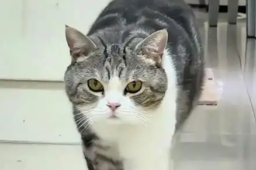 14日