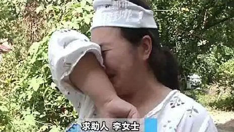 海关救回被冲走的鸟蛋孵化出鹦鹉