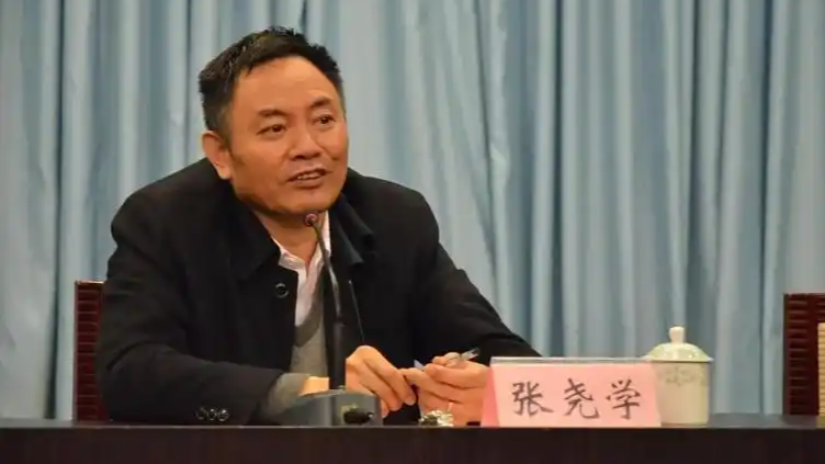 中国工程院撤销张尧学院士称号