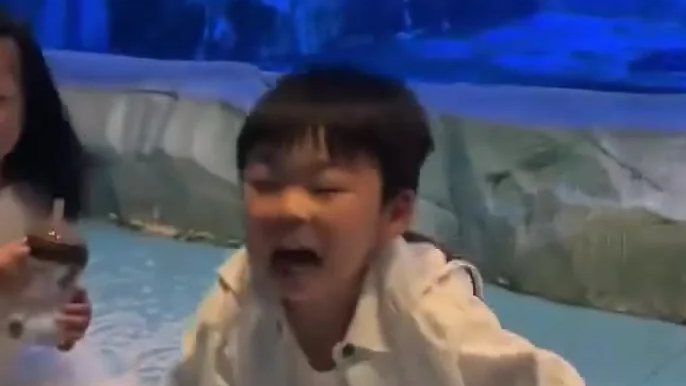 小孩被白鲸吓到的后续来了