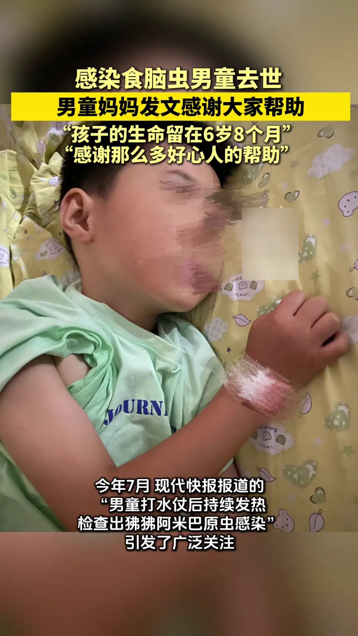 赵露思：实在不行开个小面馆