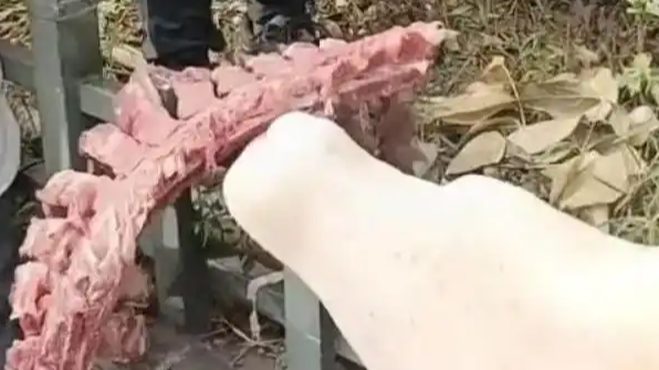  给学生吃发臭排骨？当地教体局回应