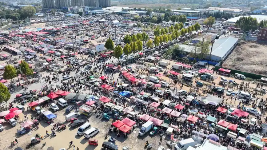 10万人赶曹洼大集 到底在“赶”什么