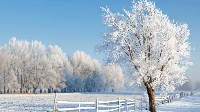 大雪时节哪里降雪概率大增