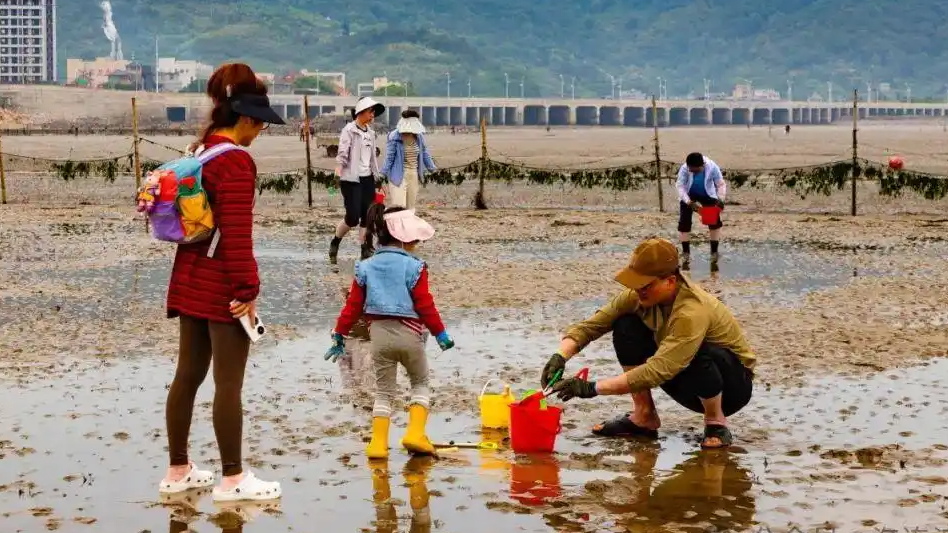  到平潭赶海才知什么叫遍地都是海鲜