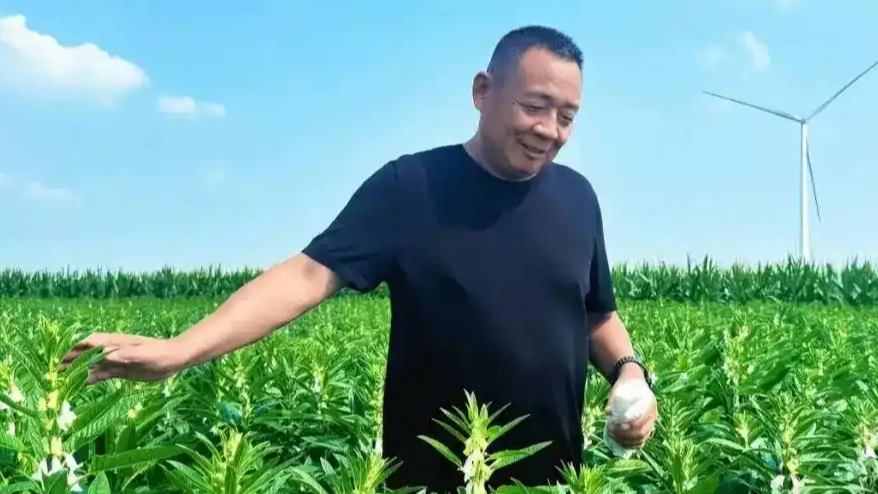 于东来计划3个月科学减肥20斤