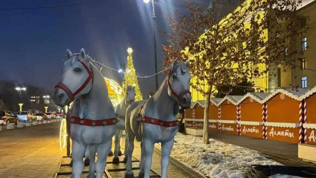  这个邻国也有马年 还有蜗牛年野猪年