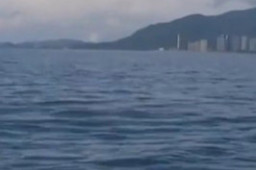   游客海上漂了7天6夜 生吃螃蟹求生 缩略图