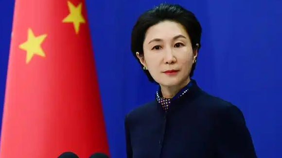  中方回应“巴西起诉某中国车企”