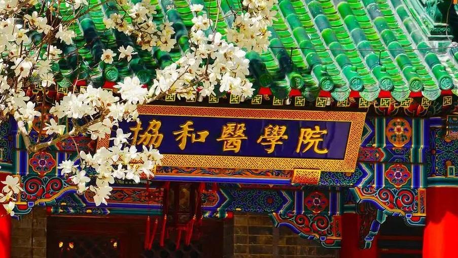 五問輿論漩渦中的協(xié)和“4+4”模式