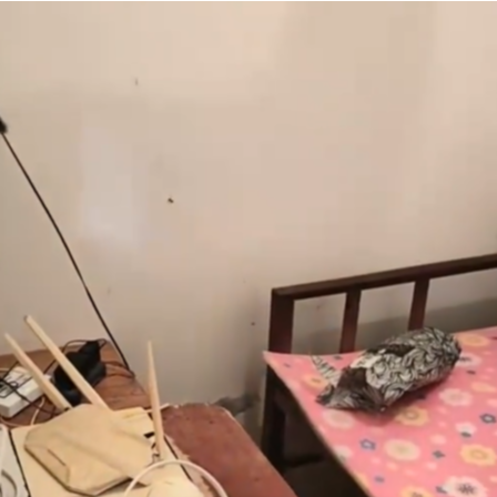 业主卖房时发现地下室被人占用多年