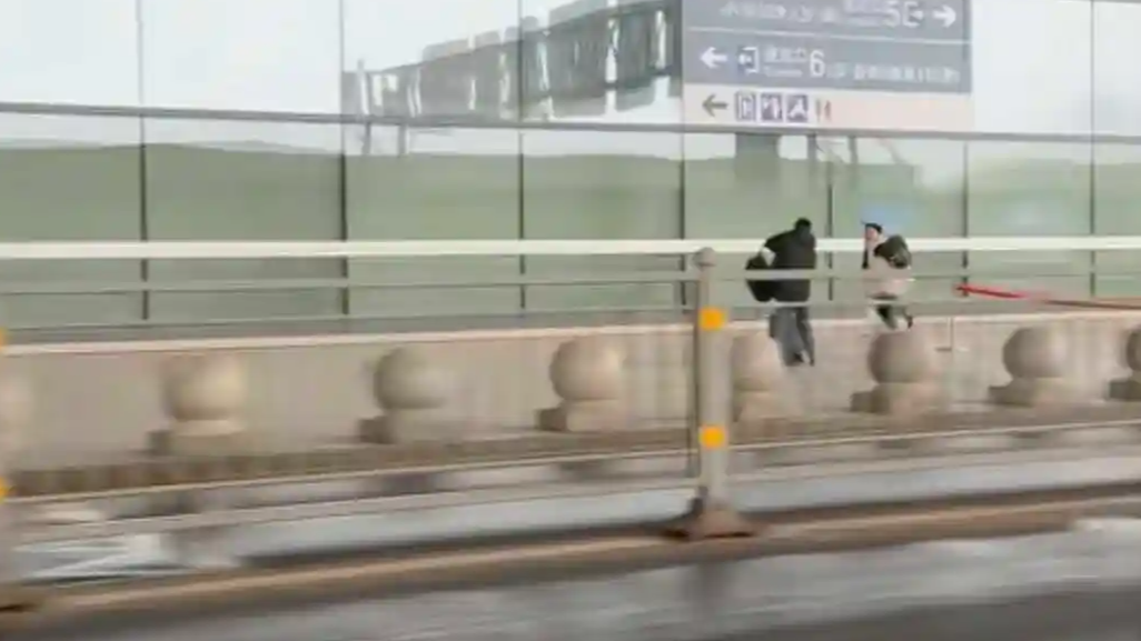 以为是为爱狂奔 结果是送错口了