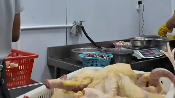 莫氏鸡煲为养鸡暂缓开店