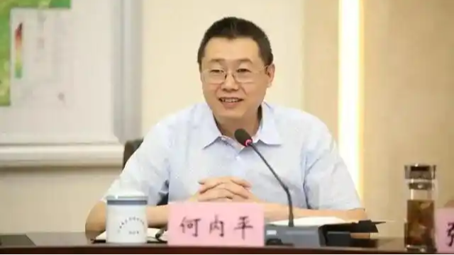 “老公安”何内平搞团伙被开除党籍