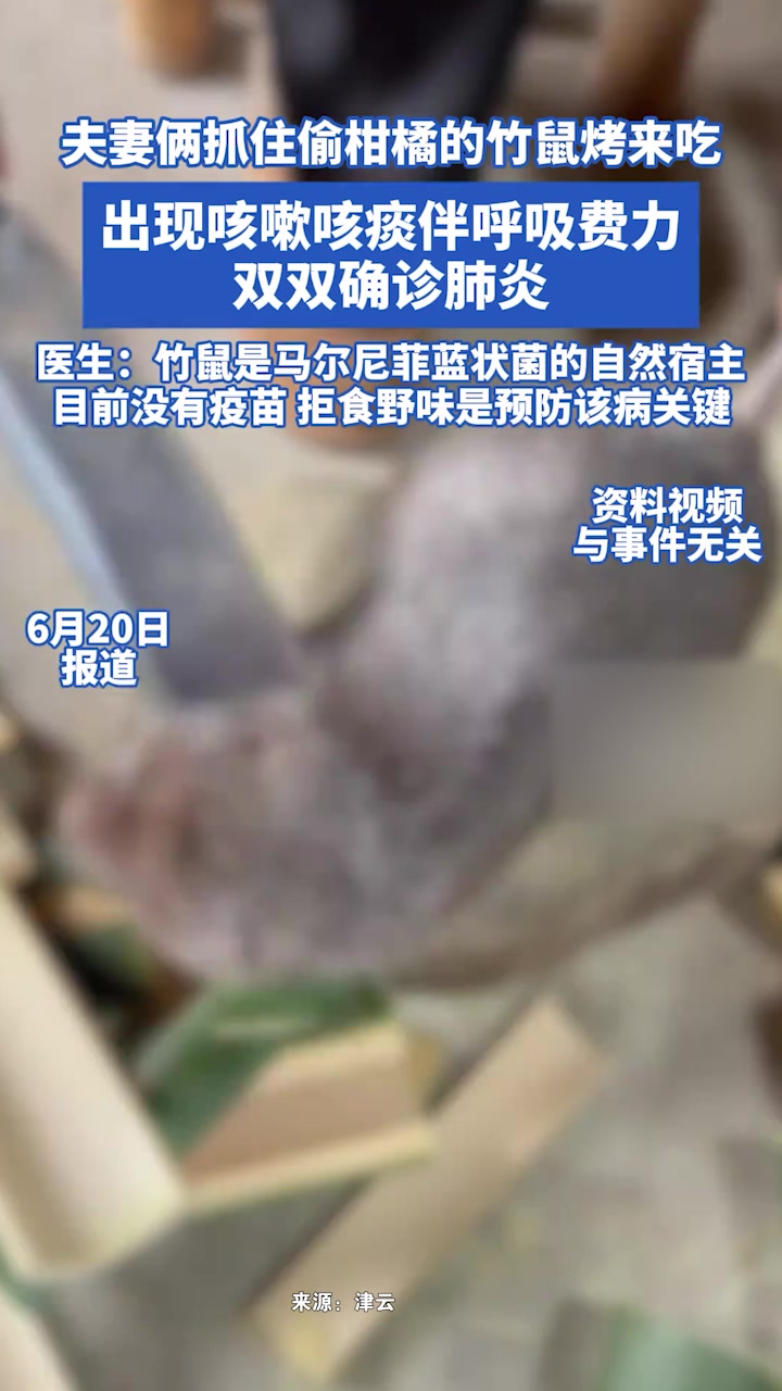 夫妻吃了来偷柑橘的竹鼠后双双肺炎