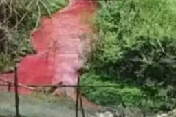   重庆彭水通报河流河水变红 缩略图