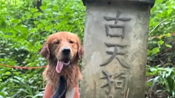 上海驴友穿越秦岭失联十余天后获救
