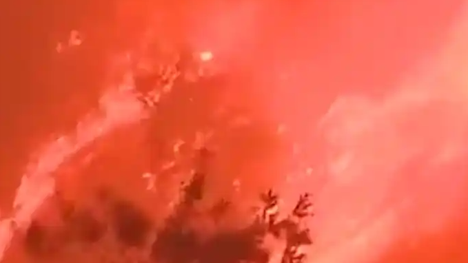 加州山火幸存者被困在“颠倒世界”