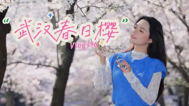 春日顶流！武汉樱花雨浪漫出圈