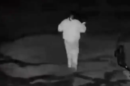 02日