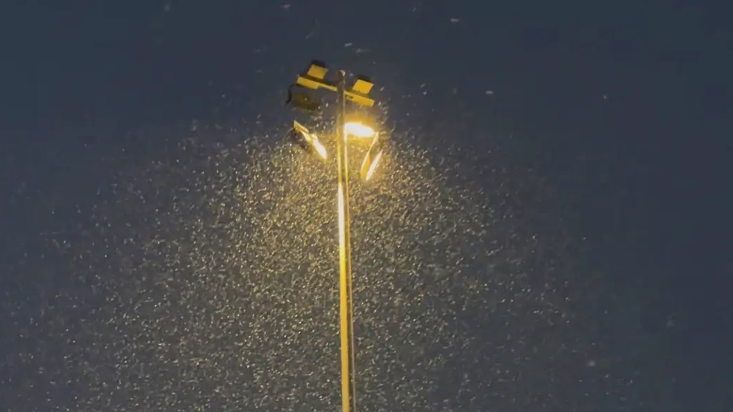 北京的雪下得很认真