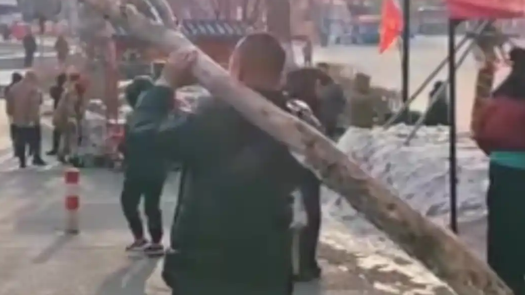 全国多地网友集体出门捡柴