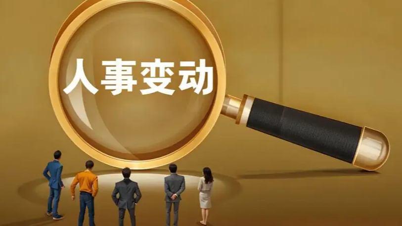 多个省级党委领导班子调整