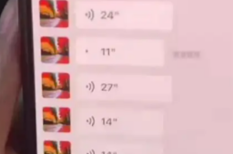 13日