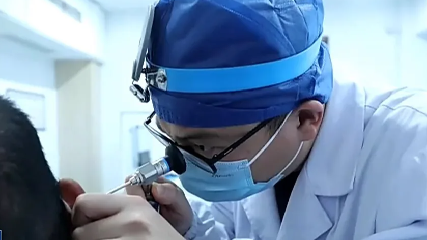  男子突发耳聋 元凶是“电钻级”蝉鸣