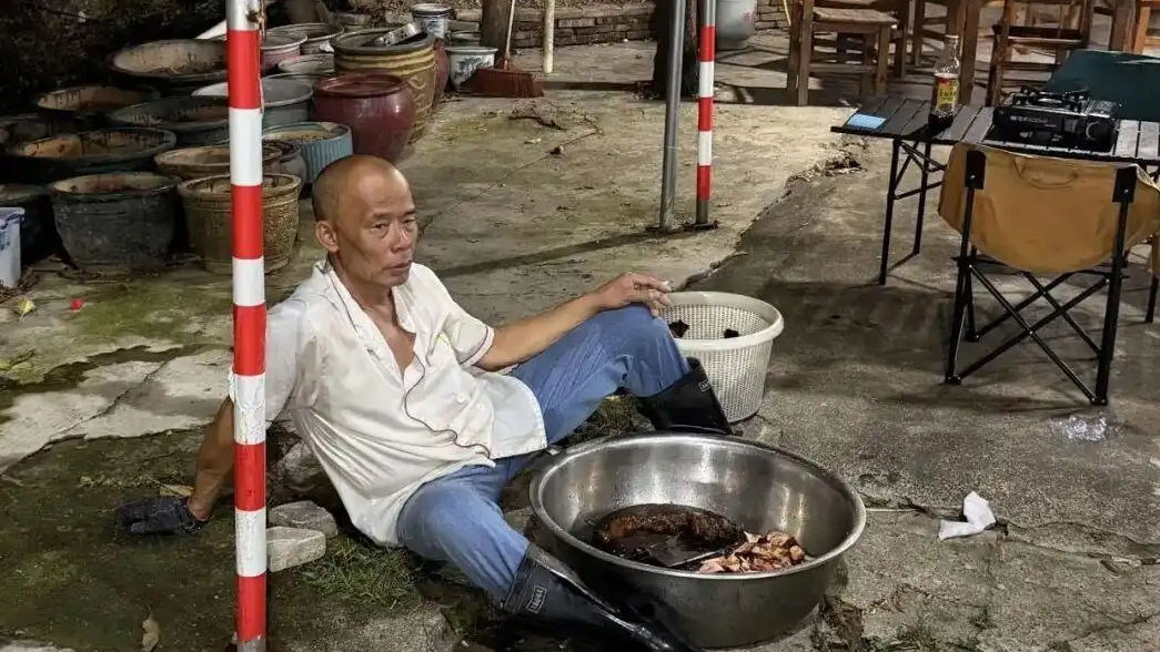 莫氏鸡煲老板娘心疼老莫
