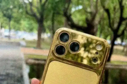 12999元起售的黄金手机壳多人入手