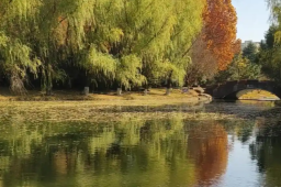   大学女生校内溺亡 家属发声 缩略图