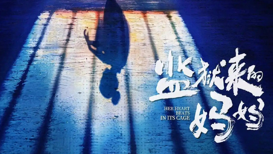汪涵为担任《监狱来的妈妈》出品人道歉