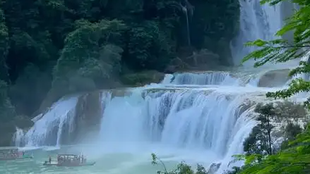  “桂妈”太好看被网友带火到全世界