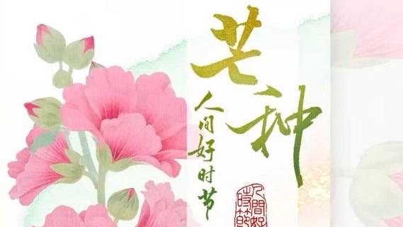 今日芒种：“芒”不负时 种有所获
