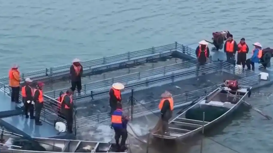 水产捕捞田间秋收齐上线