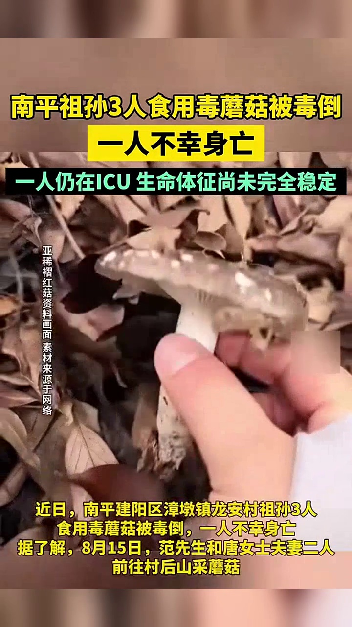 人均2000元合租拿下深圳独栋别墅