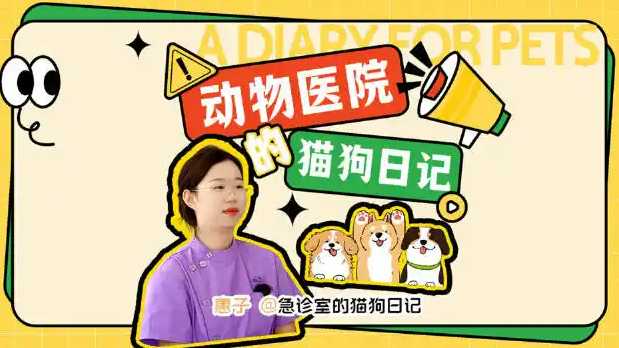 拜登批准的巨型风电项目被叫停