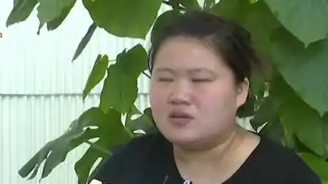  女子想开蜜雪冰城结果加盟奶爸王子
