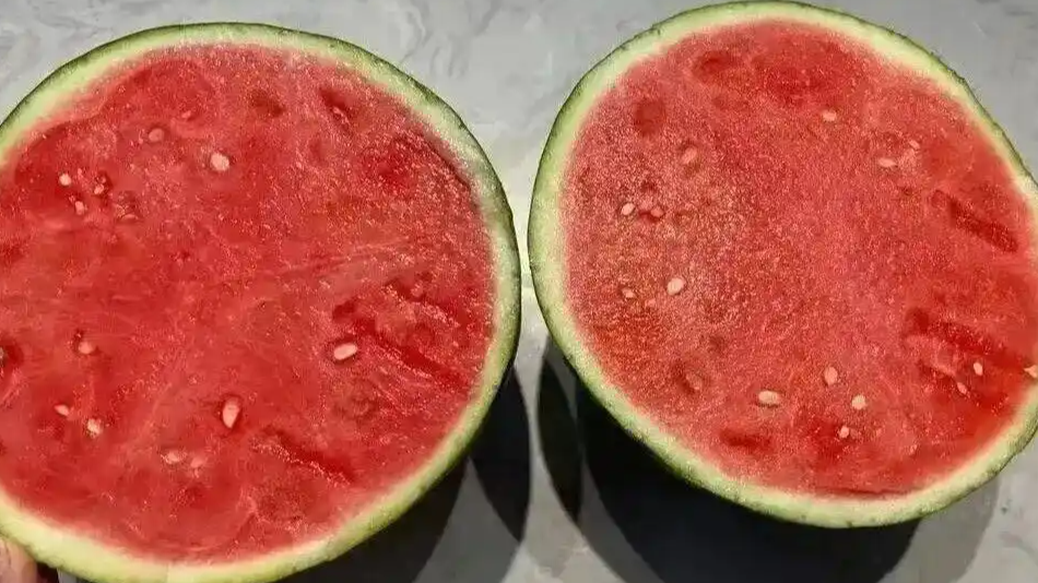  西瓜真几分钱一斤了吗
