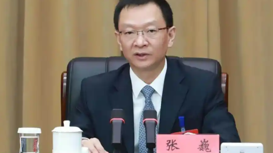河南省委副书记张巍再添新职