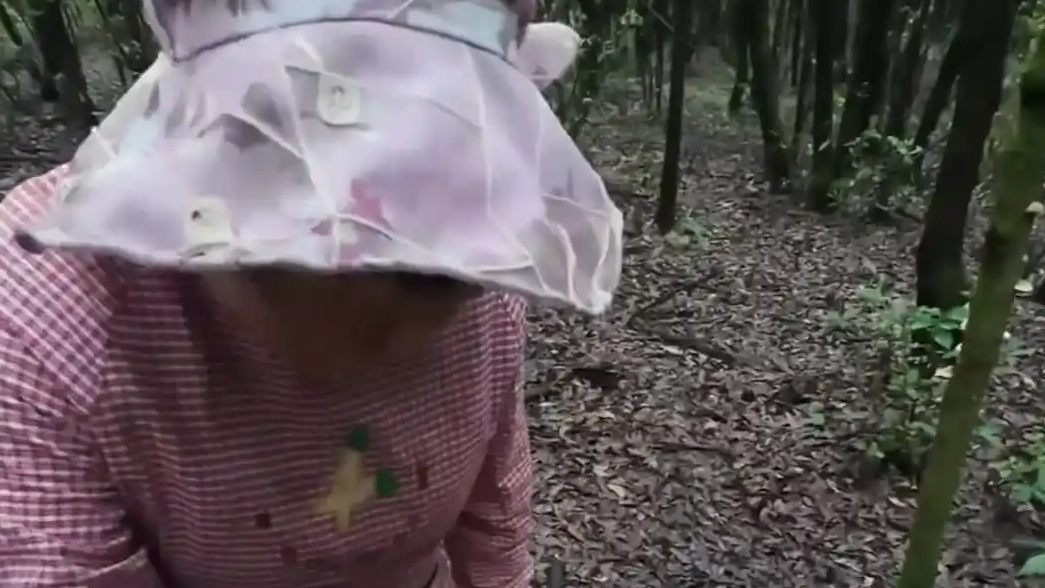 游客上山捡菌子 遇当地阿姨挑出毒菌