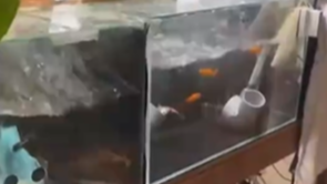 直击日本地震瞬间：摄像头剧烈晃动