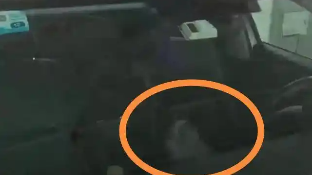 驾车返乡途中被猫锁在车外