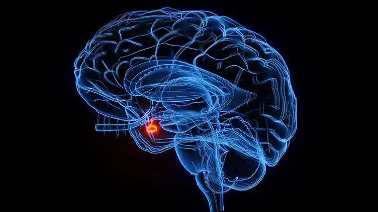 这种面相可能是肿瘤前兆