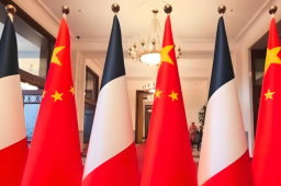   习近平同法国总统马克龙举行会谈 缩略图