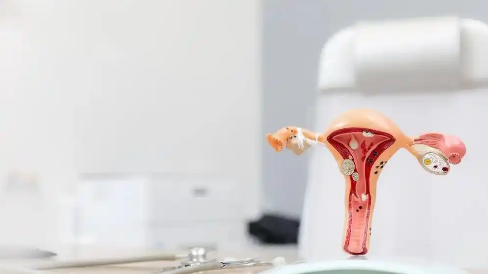 6岁患癌女孩冻卵巢组织保生育能力