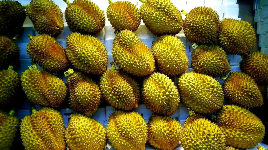  榴莲批发价跌至10元出头