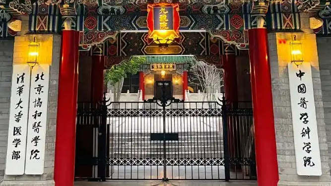 協(xié)和“4加4”一博士論文正文僅12頁(yè)
