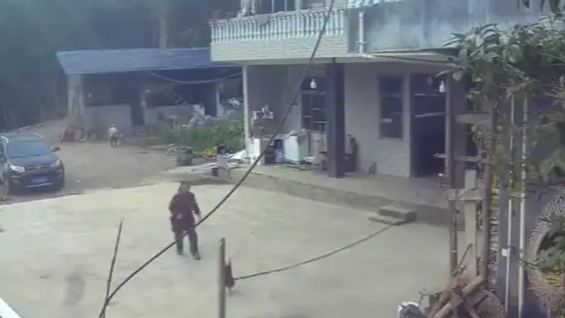  女童被公鸡追着啄 奶奶将鸡抓住宰杀